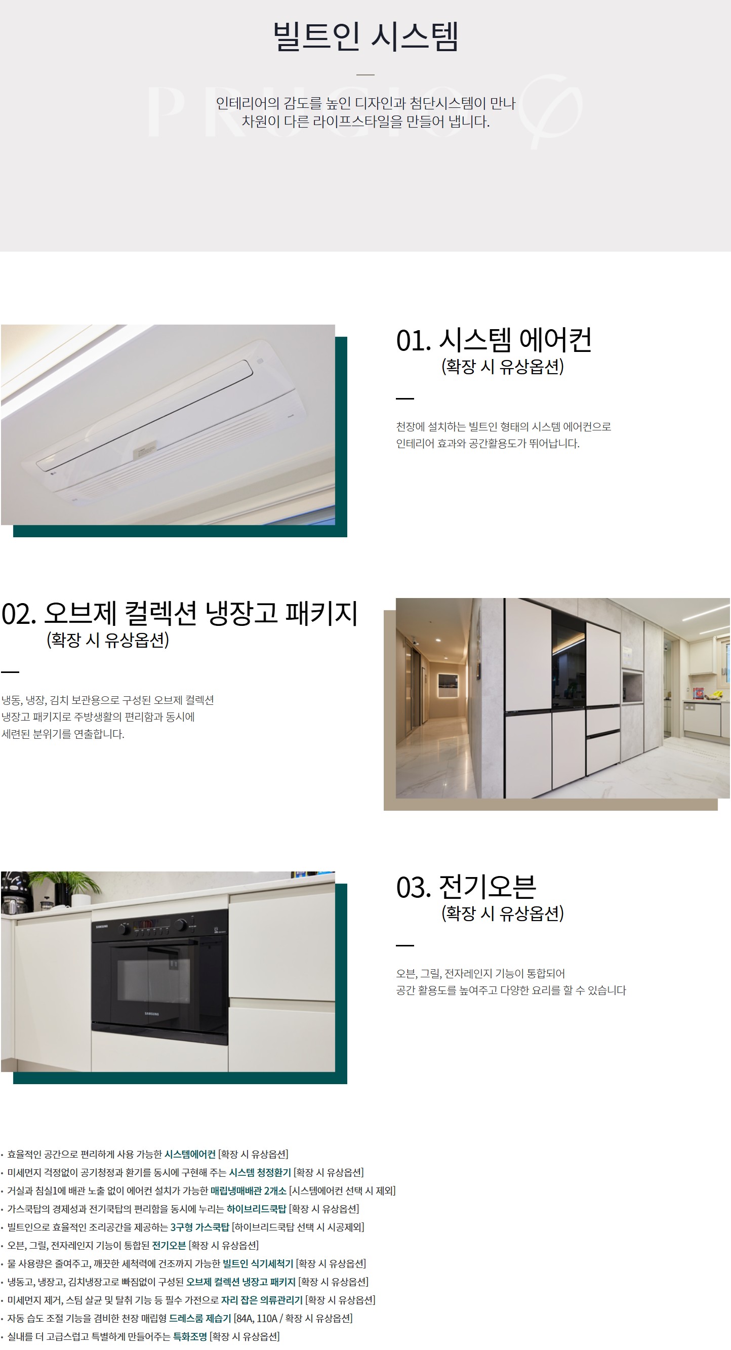 빌트인 시스템
